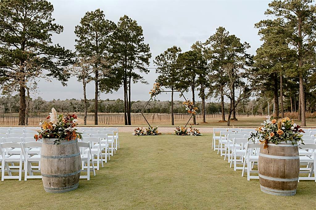 The Vineyard
