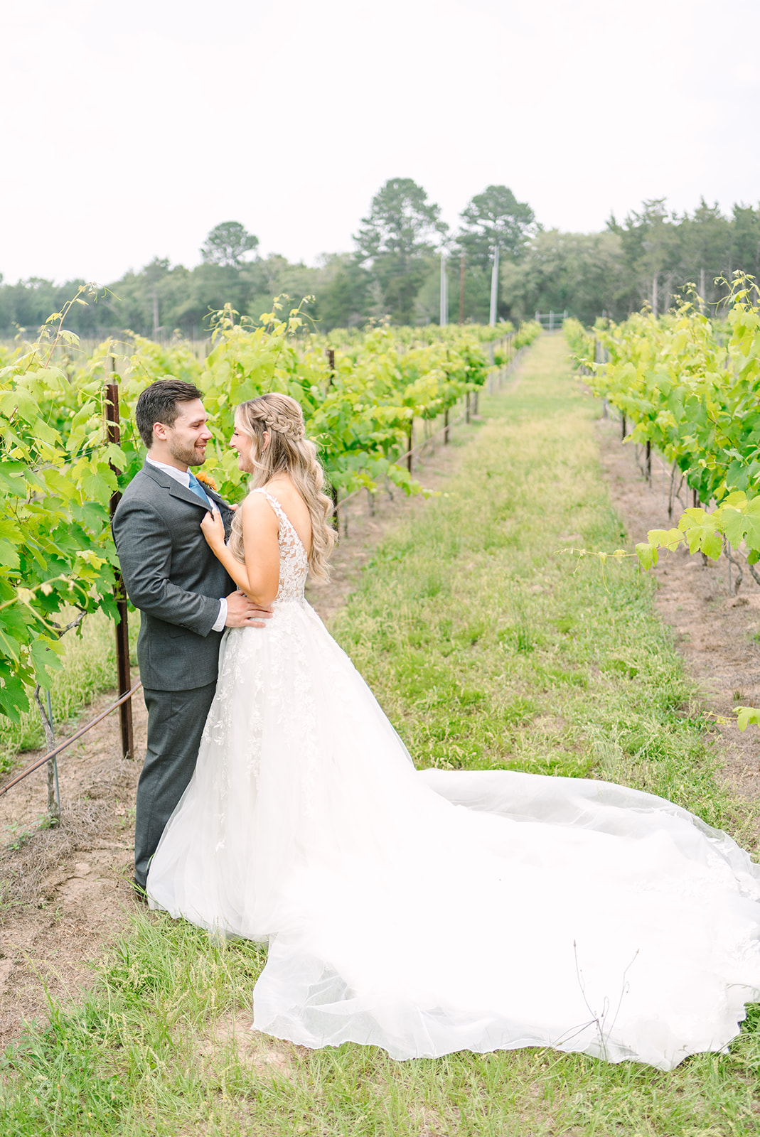 Vineyard Vista