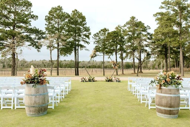 Vineyard Vista