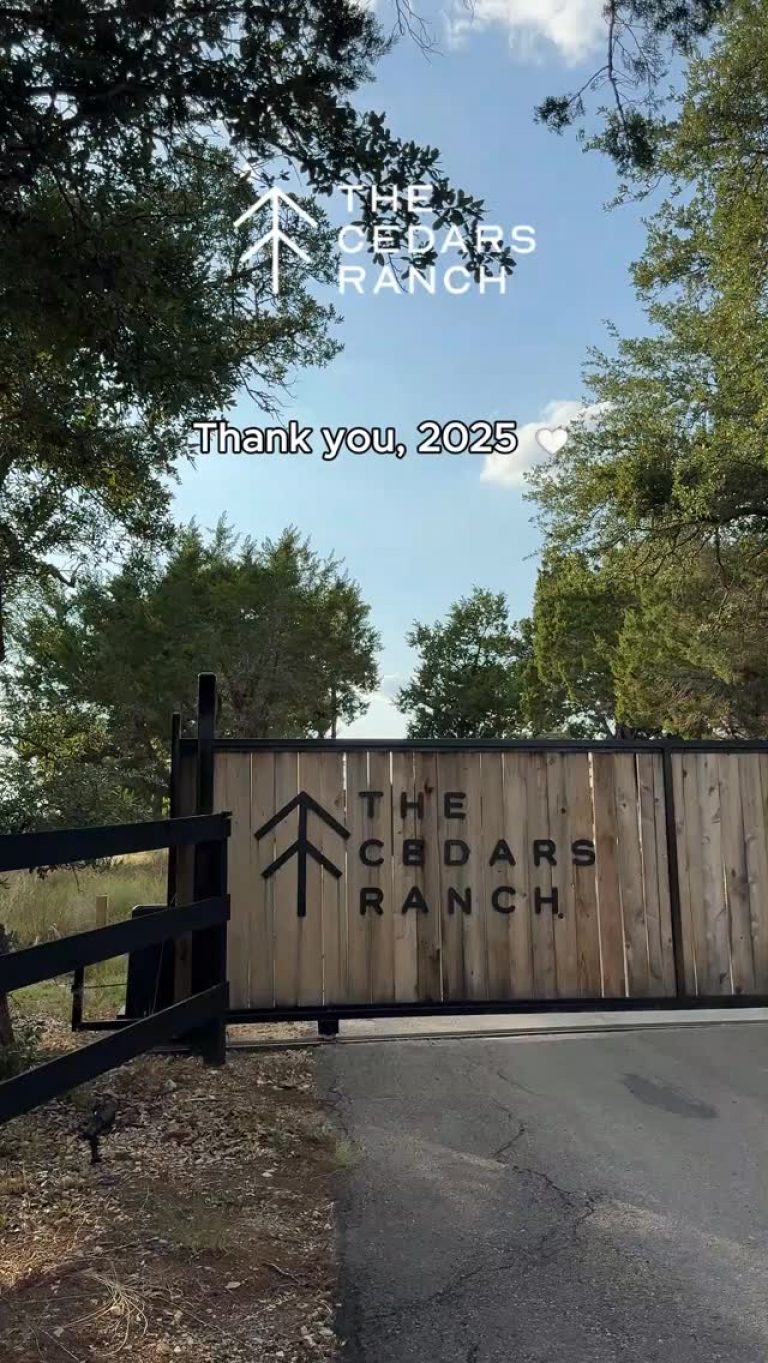 Instagram post from thevinenewulm. This post is in position 2.